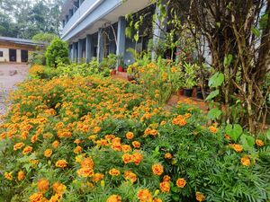 15088 haritha campus 2025 1.jpg