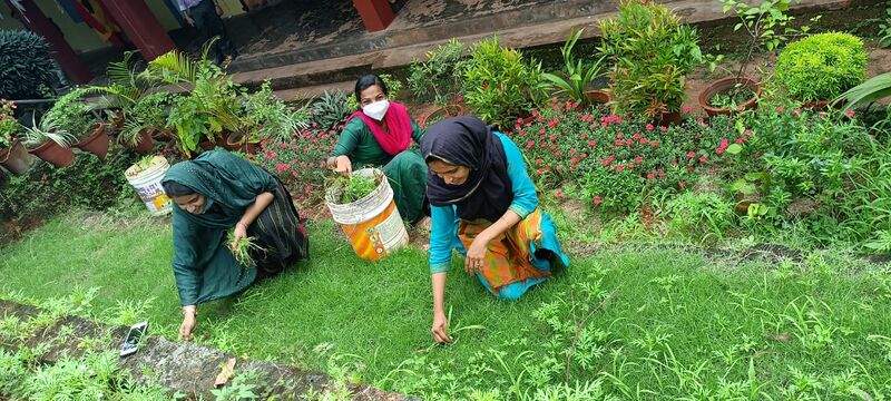 പ്രമാണം:18011 eco.jpeg