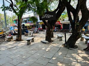 19556 Kavimuttam.jpeg