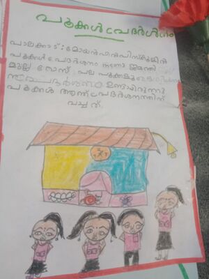 21622-PKD-KUNJ-AMEYA S.jpeg