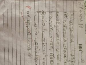 23323-TSR-KUNJ-REON AUGUSTY JOY.jpeg