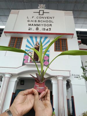 24049 lfcghss mammiyoor.JPG