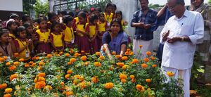 24308 marigold harvesting2 2024.resized.jpg