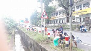 29312 roadgarden5.jpeg