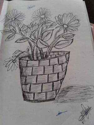 33056 march13 2.jpeg