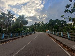 42518-paruthikuzhipalam.jpg