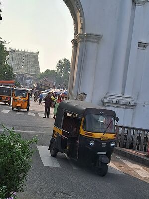 43338 padbhanabhaswami temple.jpg