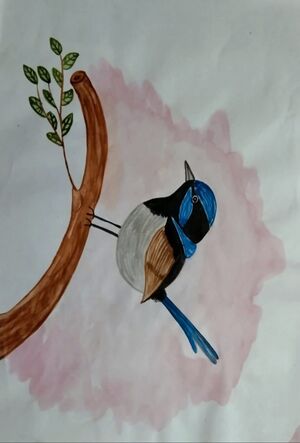 44050 22 12 i56.jpeg