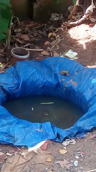 പ്രമാണം:44050 591.jpg