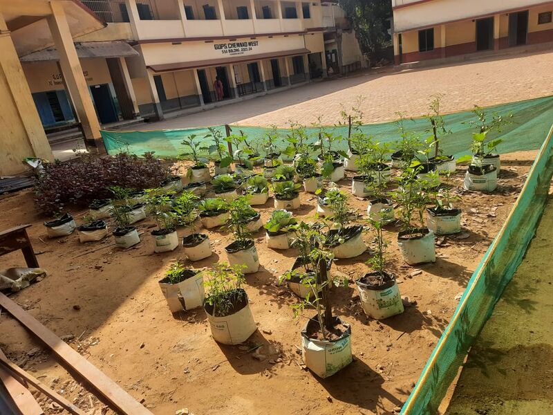 പ്രമാണം:11453 krushi5.jpeg