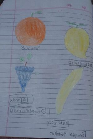 15367-WYD-KUNJ-DINS JOBY.jpg