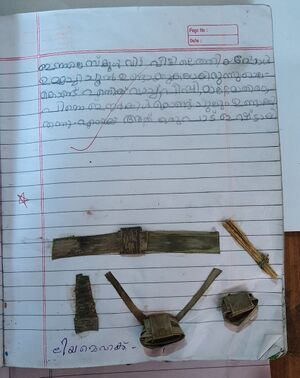 19718-MLP-KUNJ-LIYA MEHAK.jpg