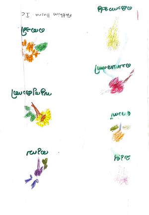 19819-MLP-KUNJ-F HUSNA.jpeg