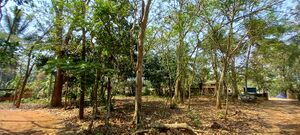 24071-SCHOOL PREMICES5 aushath.jpeg