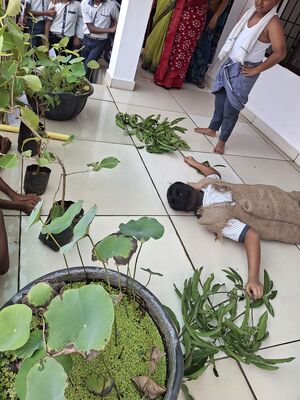 25258 maram oru varam.jpg