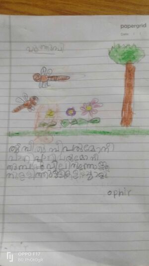 38540-PTA-KUNJ-OPHIR.C. SHIBU.jpg