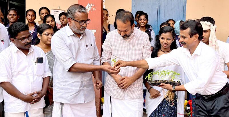 പ്രമാണം:41089 seedling planting 2.jpg