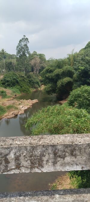 42051 Ente gramam river.jpg