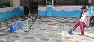 44203 image3.jpg