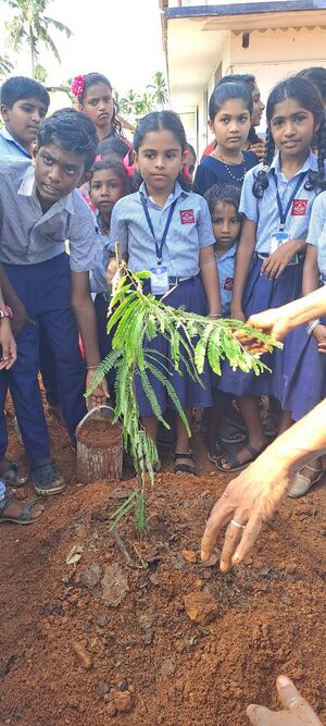 46225-environment day.jpg