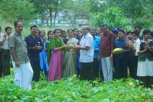 Kakkat pachakari3.jpeg