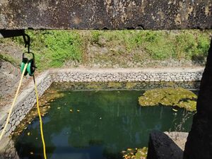 P1305918 temble pond.jpeg