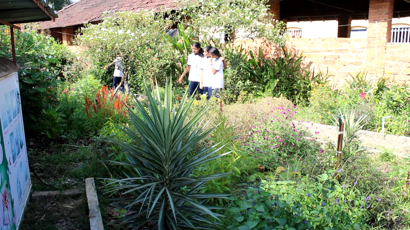 പ്രമാണം:Screenshot from 2022-01-28 15-06-34.png