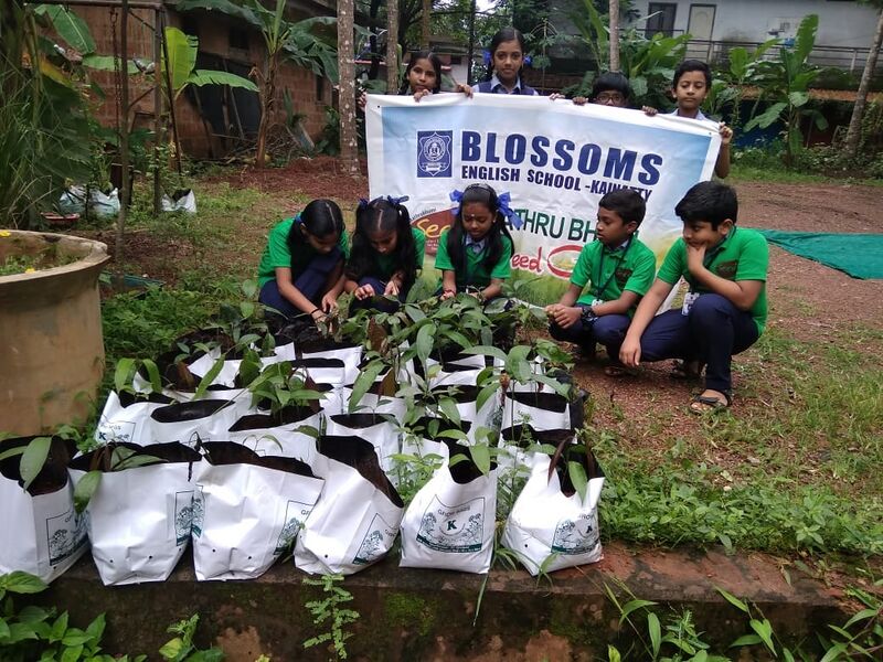 പ്രമാണം:Seed 1.jpg