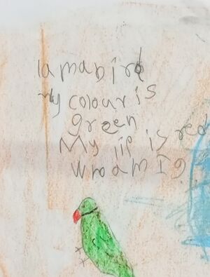 15303-WYD-KUNJ-SHAN FAISAN..jpg