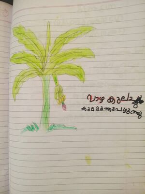 15366-WYD-KUNJ-SWAMINADH K B.jpeg