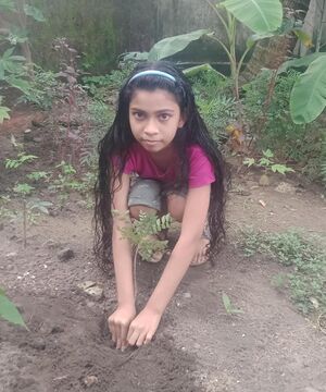 16256 paristhithi dinam5.jpg