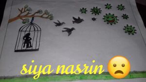 18437-siya nasrin.jpg