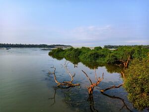 19068 ente gramam 18.jpeg