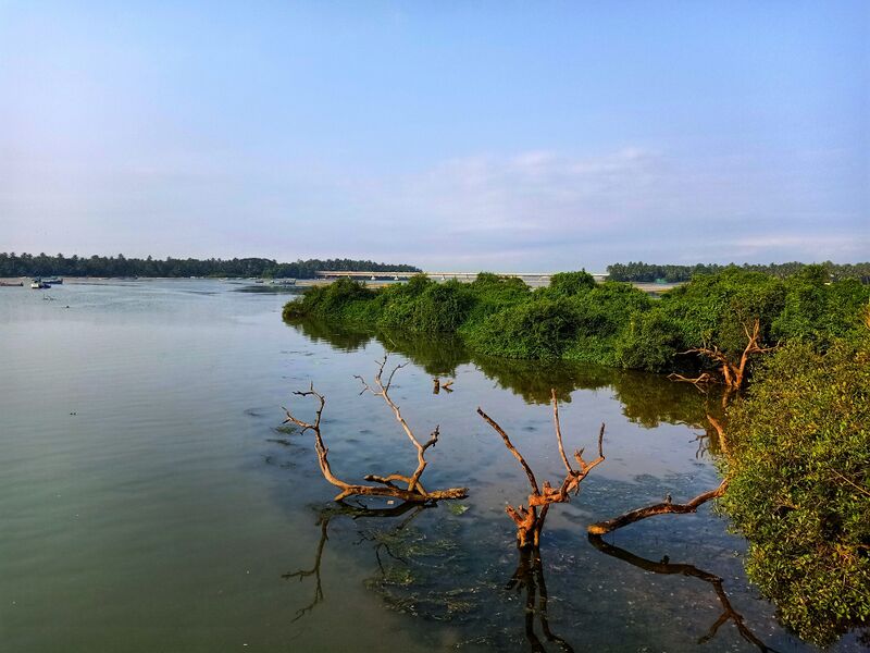 പ്രമാണം:19068 ente gramam 18.jpeg