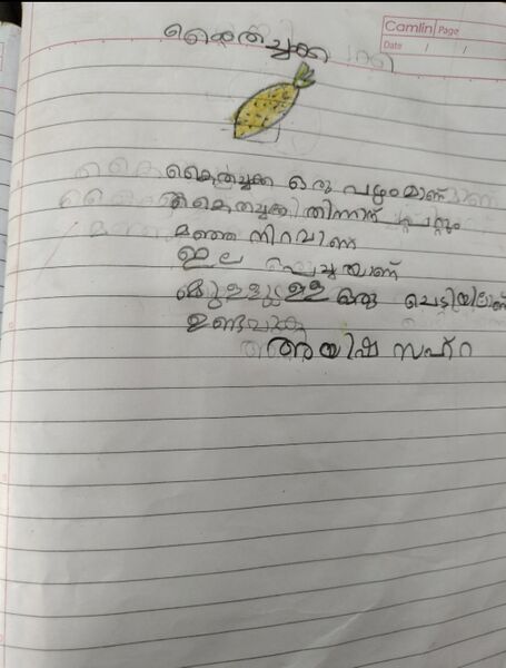 പ്രമാണം:19435 MPM KUNJ AYSHA ZAHRA.jpg