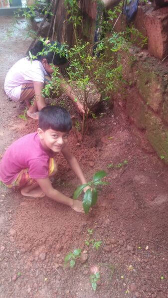 പ്രമാണം:1st jun5.jpg