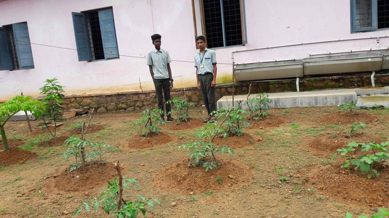 പ്രമാണം:26045 veg1.jpg