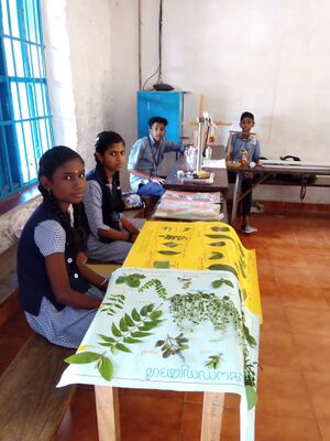 38047 Exhibition.jpeg