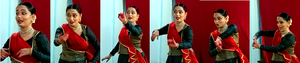 41409 Kathak expressions.png
