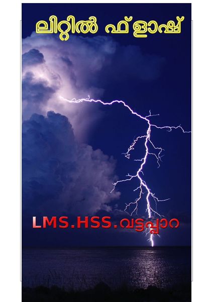 പ്രമാണം:Little flash-01.jpg