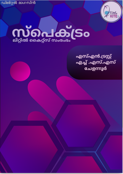 പ്രമാണം:17107-kkd-dm24.png