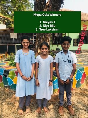 19856-Mega quiz-1.jpg