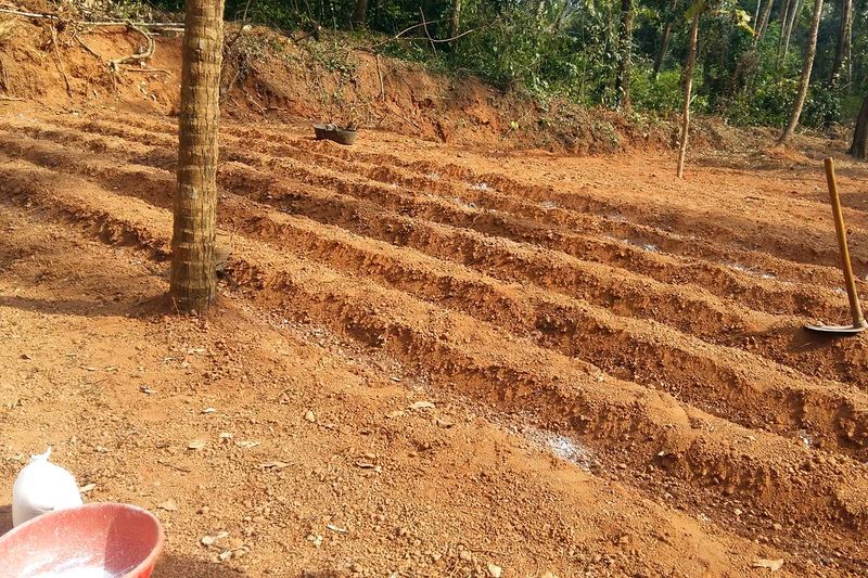 പ്രമാണം:20161208 144825estzrhnd.jpg