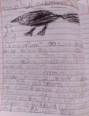 21549-PKD-KUNJ-AMREESH R.jpg