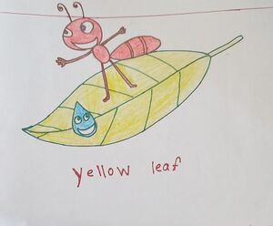 22674-TSR-KUNJ-VYGA K M.jpg