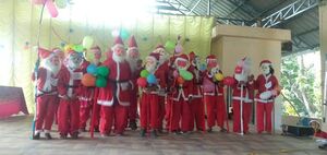 29312 2019christmas2.jpeg