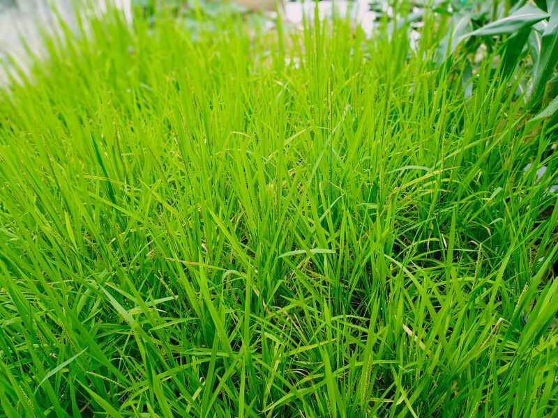 പ്രമാണം:44050 22 3 8.jpeg