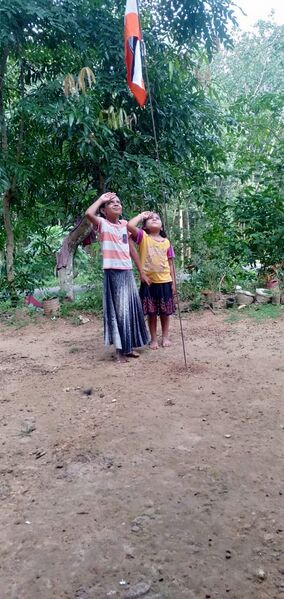 പ്രമാണം:44055 Azadiflag77.jpeg