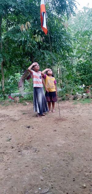 44055 Azadiflag77.jpeg