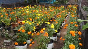 44055 VHSE Flower.jpeg